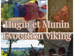 hugin &munin viking