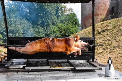 cochon à Bressieux