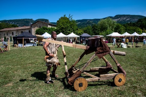 catapulte 1